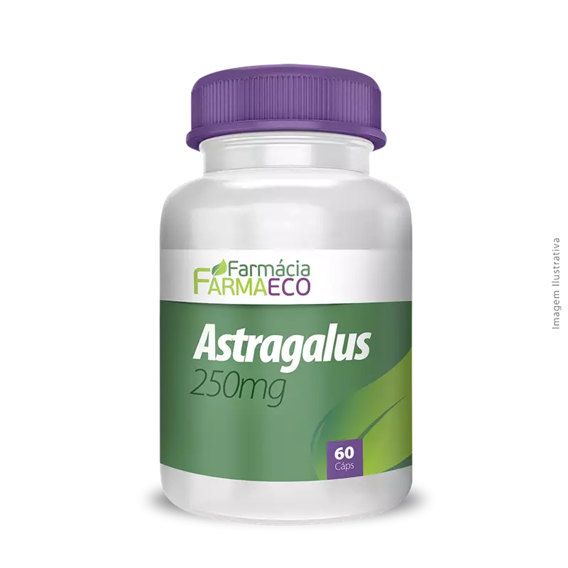 Astragalus 250mg 60 Cápsulas